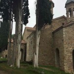web-gresize-web-IMG_3236.JPG.jpg